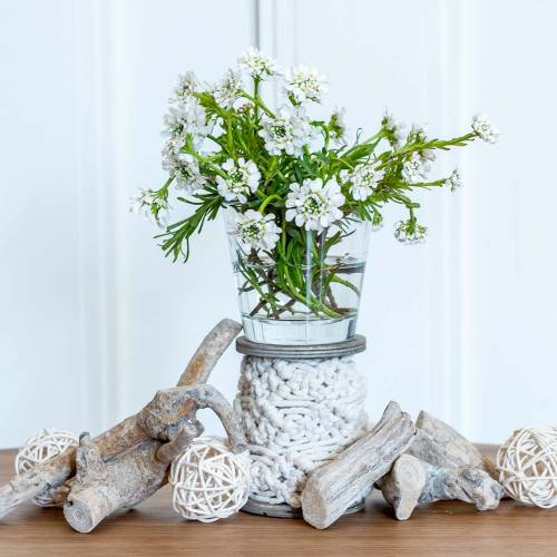 Floristik24 Trerot grå vasket 500g