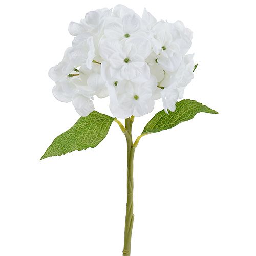 Hortensia 35cm hvit
