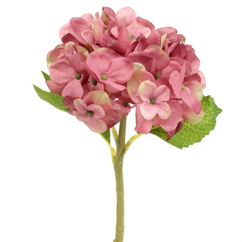 Floristik24 Kunstig hortensia mørk rosa 36cm