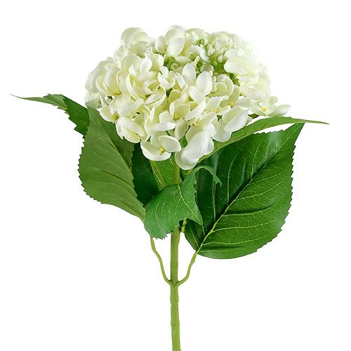 Floristik24 Hortensia 60cm hvit