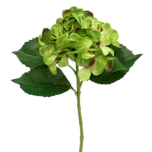 Floristik24 Hortensia grønn kunstig til pynt L54cm