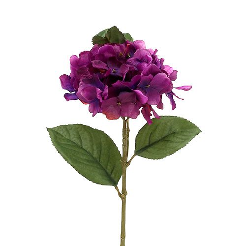 Floristik24 Hortensia lilla 30cm 3stk