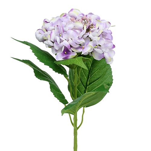 Floristik24 Hortensia lilla-hvit 60cm