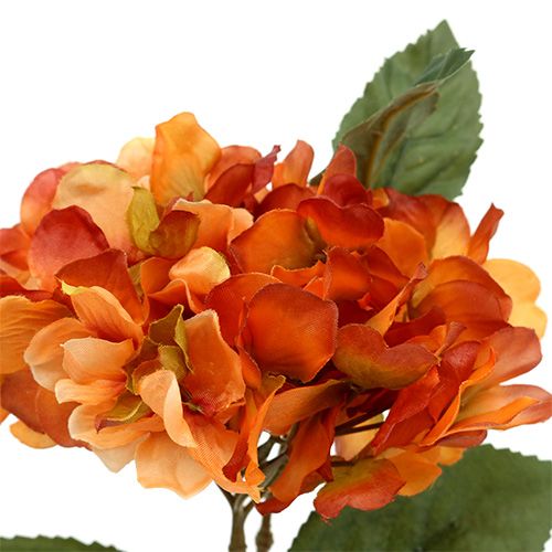 Floristik24 Hortensia appelsin 30cm 3stk