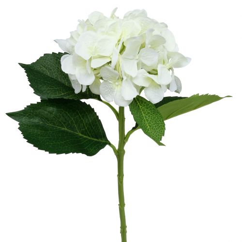 Floristik24 Hortensia hvit L54cm 1p