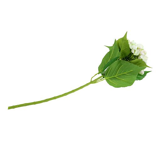 Hortensia hvit-grønn 60cm | Floristik24.no