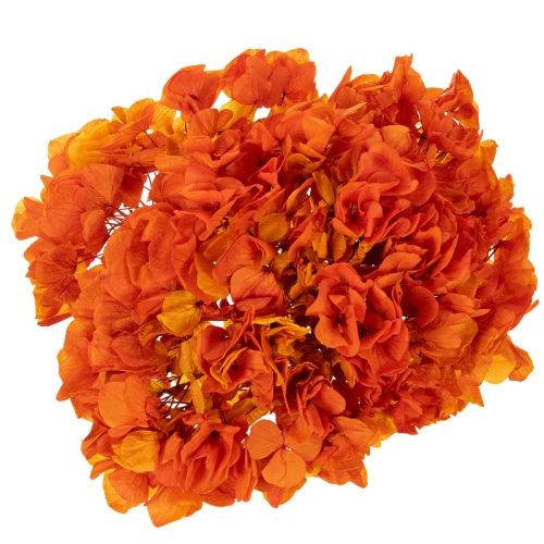 Hortensia, konservert og farget, stor blomst med lang stilk, 60 cm | Floristik24.no