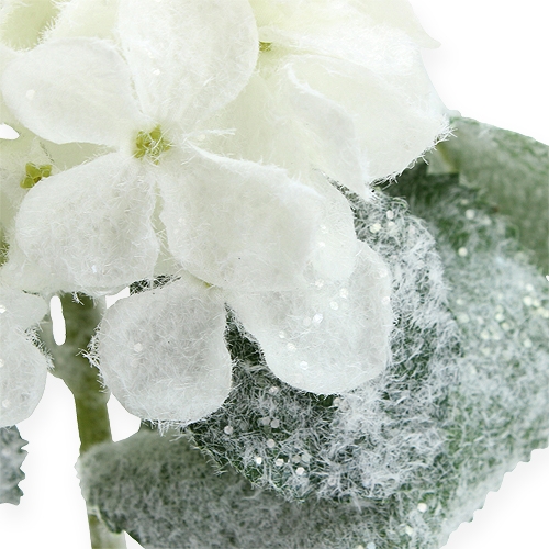 gjenstander Hortensia hvit med snøeffekt 25cm