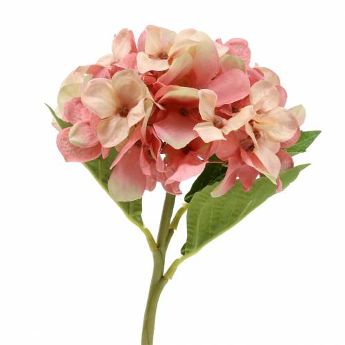 Hortensia beige/rosa 35cm