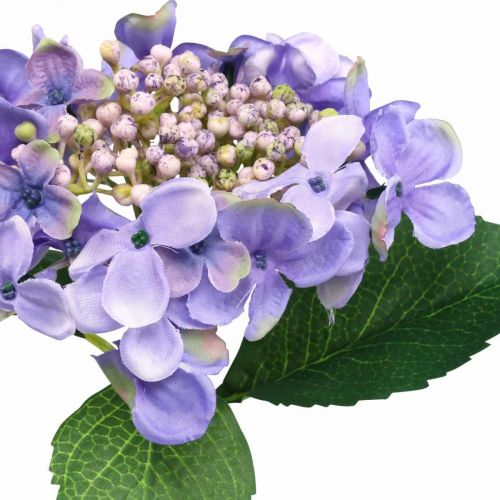 Floristik24 Dekorativ hortensia, silkeblomst, kunstig plante lilla L44cm