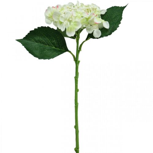 Floristik24 Hortensia, silkeblomst, kunstig blomst til borddekorasjoner hvit, grønn L44cm