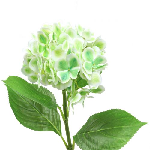 Hortensia kunstig grønn, hvit 68cm