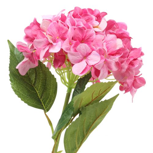 Floristik24 Hortensia stor kunstig rosa L110cm