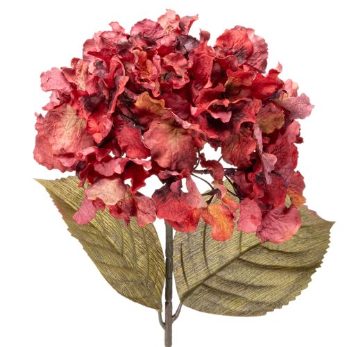 Kunstig hortensiagren, stor blomst, 74 cm kjøpe | Floristik24.no