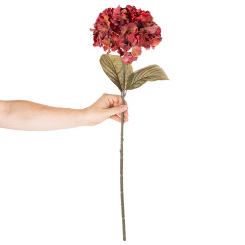 Kunstig hortensiagren, stor blomst, 74 cm | Floristik24.no
