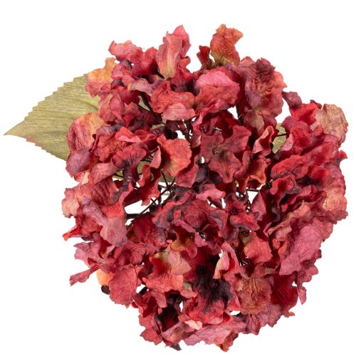 Kunstig hortensiagren, stor blomst, 74 cm | Floristik24.no