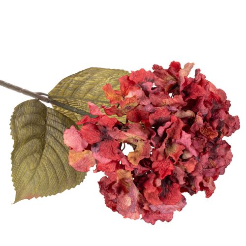 Kunstig hortensiagren, stor blomst, 74 cm | Floristik24.no
