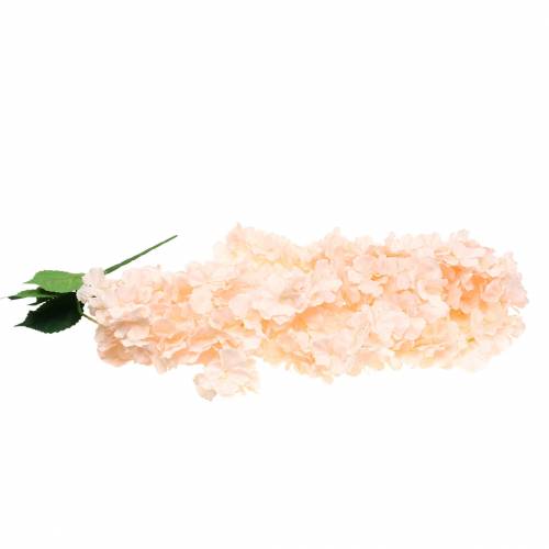 Floristik24 Dekorativ blomsterkrans kunstig aprikos 135cm 5 tråder