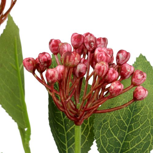 Floristik24 Hortensia knopp gren 55cm rosa 6stk