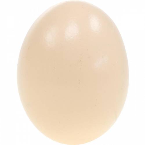 gjenstander Kyllingeggkrem Påskepynt Blåste egg 10stk