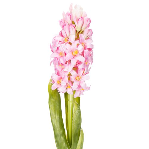 Floristik24 Hyacinth Real-Touch Rosa 40cm