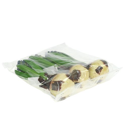 Floristik24 Hyasint med løkblått 15cm 3stk