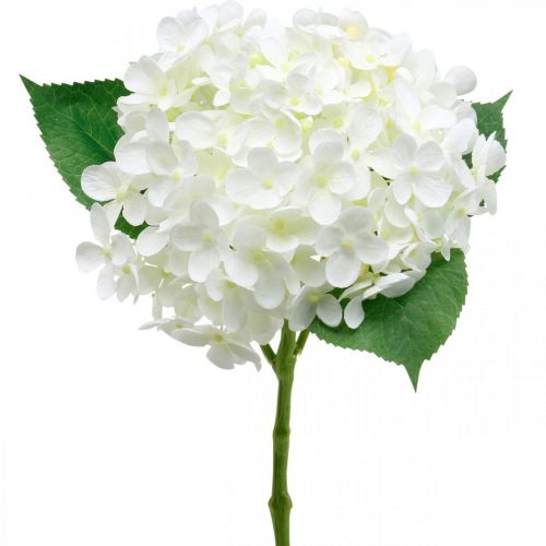 Floristik24 Hortensia kunstig hvit 53cm