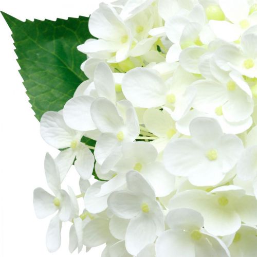Floristik24 Hortensia kunstig hvit 53cm