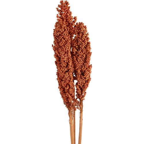 gjenstander Indian Mais Tørkede Blomster Indian Mais Orange 72cm 3stk