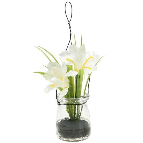 Floristik24 Iris hvit i et glass for oppheng av H21,5cm
