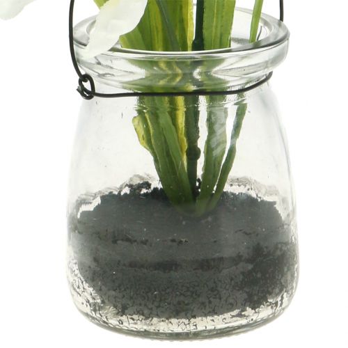 Floristik24 Iris hvit i et glass for oppheng av H21,5cm