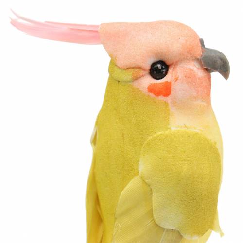 Floristik24 Dekorativ kakadue med metalltråd grønn gul H13cm 4stk