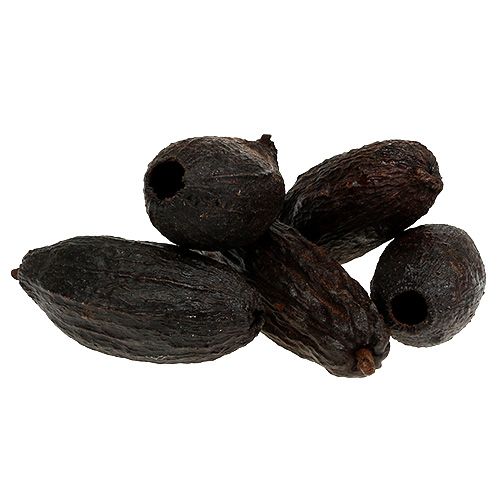 Kakaopods naturlig 10-18cm 15stk