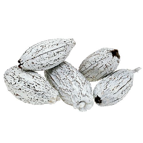 gjenstander Kakao frukt hvitkalket 15 stk