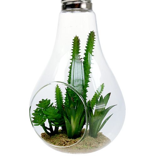 gjenstander Kaktus i et glass for å henge 21cm