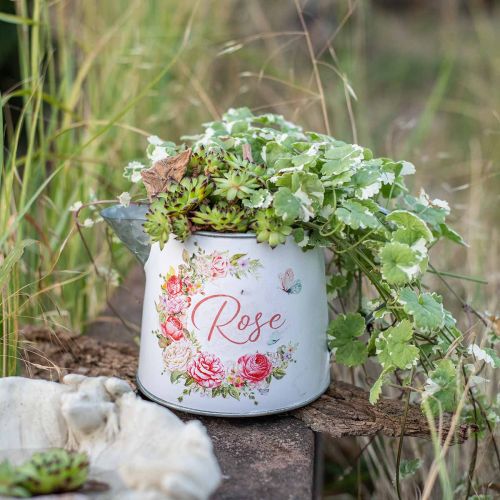 Floristik24 Metallmugge, plantekasse, metallkasse med rosemotiv H12cm Ø10,5c