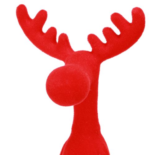Floristik24 Kantkrakk Elgdekorasjon Juleflokket 31 cm Rød 3 stk