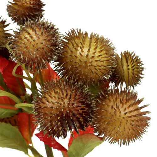 Floristik24 Kastanjeplukk brun 32cm