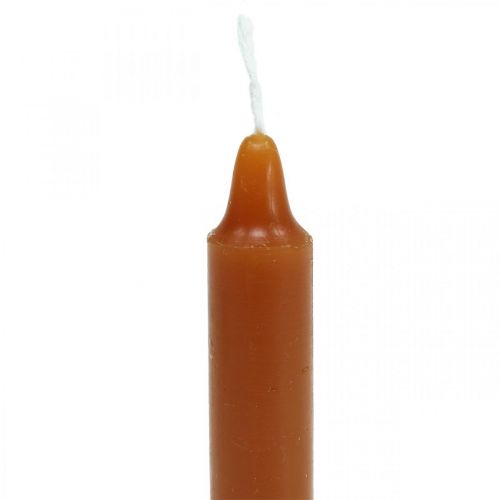 Floristik24 Trelys pyramidelys Ø13×H105mm brun, gylden 10stk