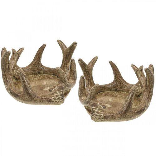 Floristik24 Telysholder lysestake gevir gull H7cm Ø10cm 2stk