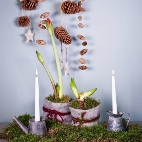 Floristik24 Lysestake kanne antikk look H12/9cm 2stk