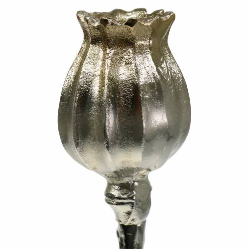 Floristik24 Lysestake valmue blomstre champagne H49cm