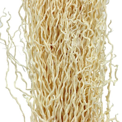 gjenstander Khejur Dato bleket 50 stk.