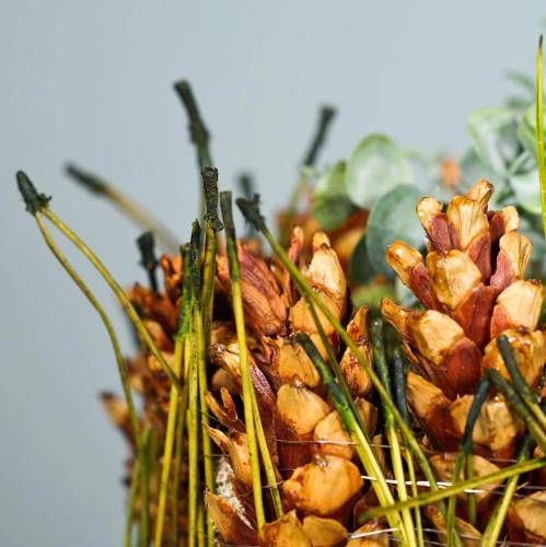 Floristik24 Furunåler grønne 400g