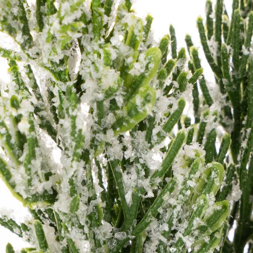 Kunstig snødekt furukvist til blomsteroppsatser og adventsdekorasjoner, 40 cm, 3 stk. | Floristik24.no