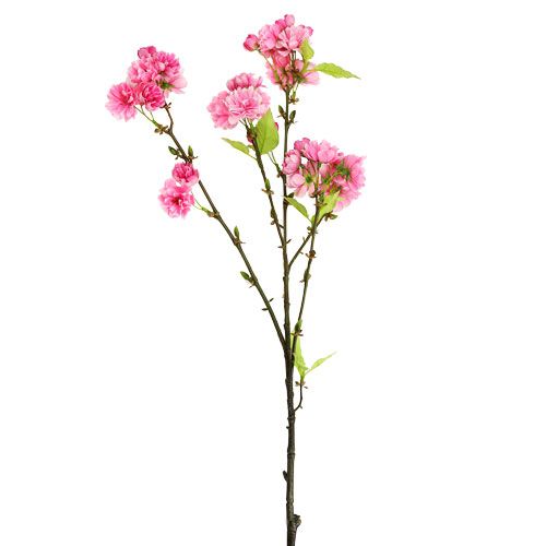 Floristik24 Kirsebærblomst gren rosa 100cm