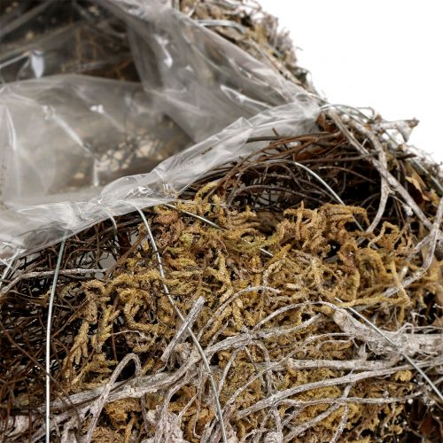 Floristik24 Pute mos, vintreet 25cm x25cm