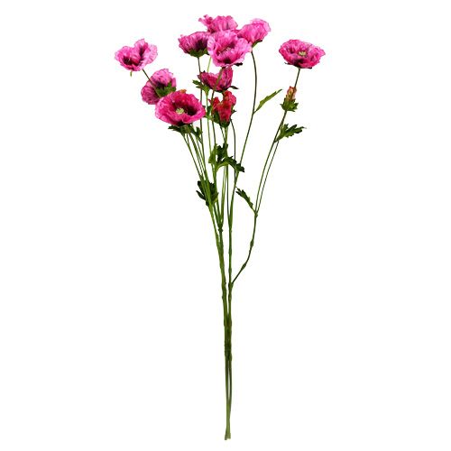 Floristik24 Poppy Pink 63cm 3stk