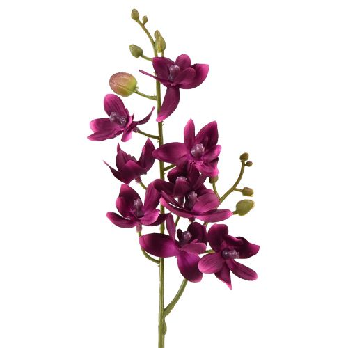 Liten orkidé Phalaenopsis kunstig blomst mørk lilla 30cm