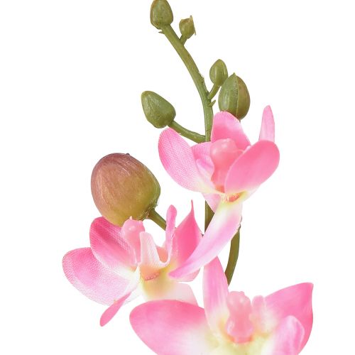 gjenstander Liten Orkidé Phalaenopsis Kunstig Blomst Rosa 30cm